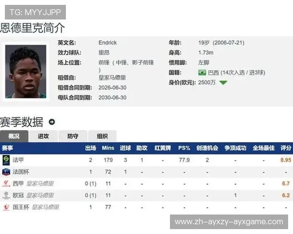 法甲里昂球员获得的个人荣誉与成就统计